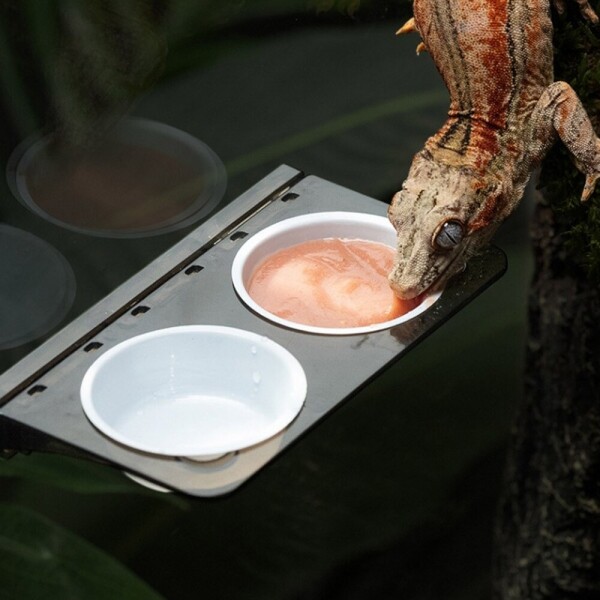 뉴마켓,강력 자석 부착식 먹이그릇 크레스티드게코 카멜레온 도마뱀 파충류 물그릇